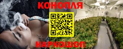 каннабис Будённовск