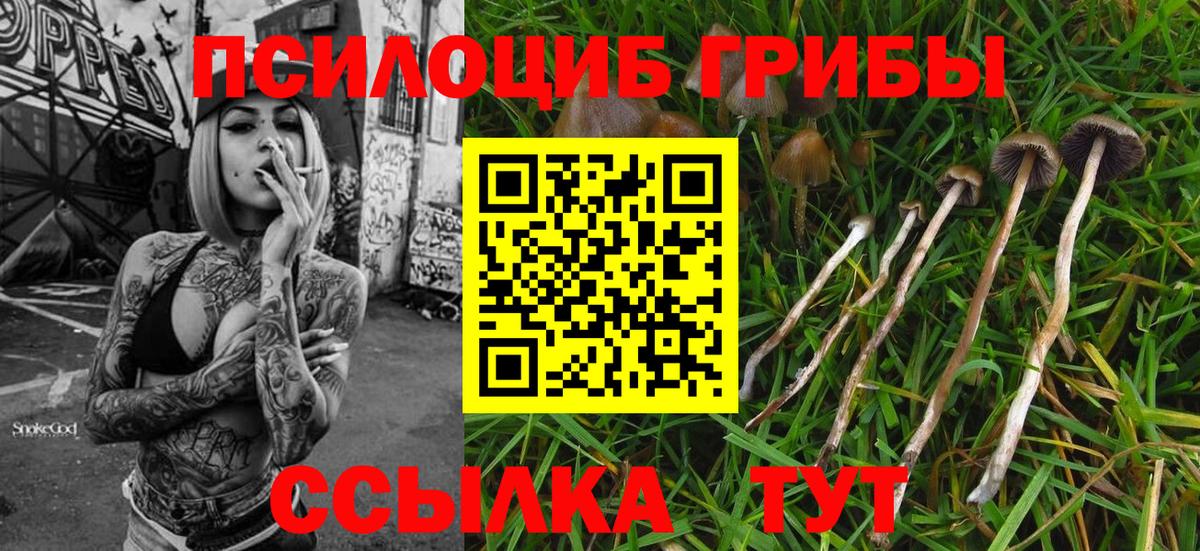 Псилоцибиновые грибы Magic Shrooms  Вход с VPN  где найти наркотики  Галлюциногенные грибы мицелий  Арзамас 