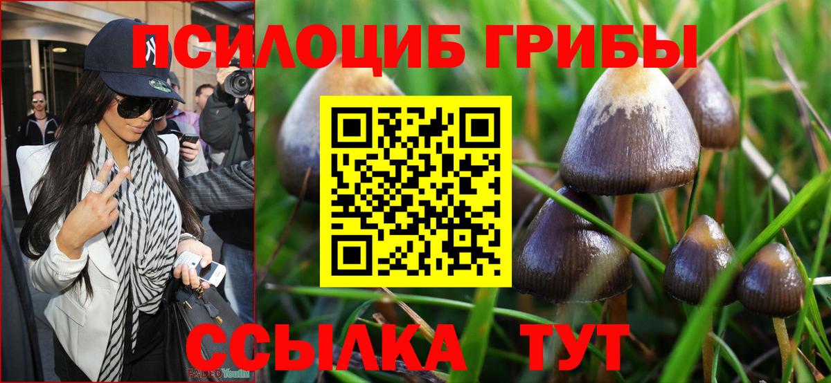 Галлюциногенные грибы прущие грибы Арзамас